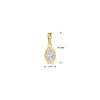hanger zirkonia 13,5 mm 14K geelgoud - Afbeelding 4