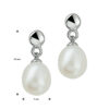 oorhangers parel zilver gerhodineerd - Afbeelding 3