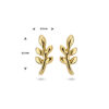 oorknoppen blad 1 micron zilver verguld (geel) - Afbeelding 4