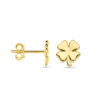 oorknoppen klavertje 8 mm 14K geelgoud - Afbeelding 3