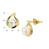oorknoppen parel 14K geelgoud - Afbeelding 3
