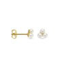oorknoppen parel 5 mm 14K geelgoud - Afbeelding 3