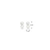 oorknoppen parel 5,5 mm zilver gerhodineerd - Afbeelding 4