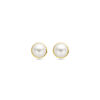 oorknoppen parel 6,5 mm 14K geelgoud