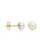 oorknoppen parel 6,5 mm 14K geelgoud - Afbeelding 3