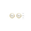 oorknoppen parel 6,5 mm 14K geelgoud - Afbeelding 4