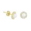 oorknoppen parel en zirkonia 14K geelgoud