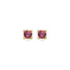 oorknoppen roze rhodoliet 14K geelgoud