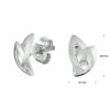 oorknoppen zilver gerhodineerd - Afbeelding 2