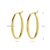 oorringen ovaal 14K geelgoud - Afbeelding 4