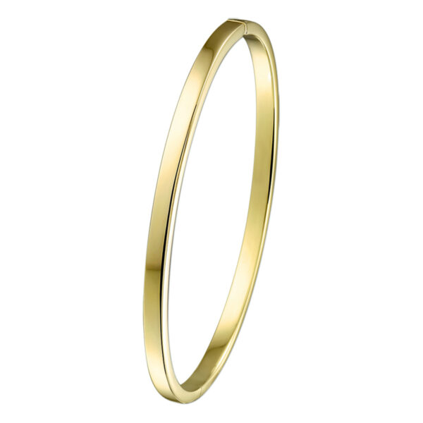 bangle scharnier massief vlakke buis 3 x 61 mm Zilgold (geel met zilverkern)