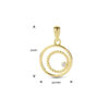 hanger zirkonia 14K geelgoud - Afbeelding 3