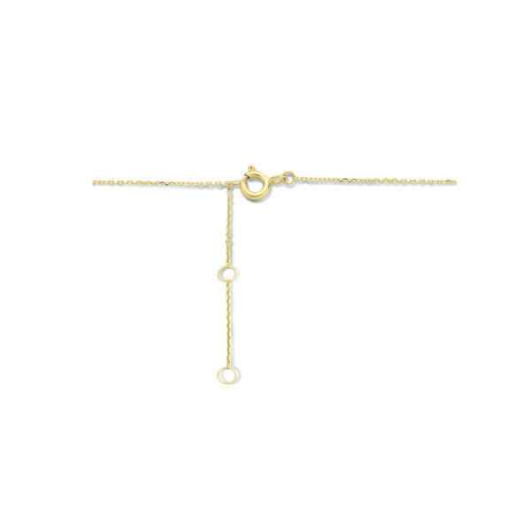 collier hartjes 40 - 42 - 44 cm 14K geelgoud - Afbeelding 3