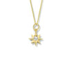 collier poolster zirkonia 41 - 43 - 45 cm 14K geelgoud