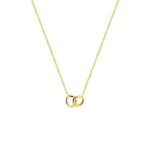 collier rondjes 42 - 43 - 45 cm 14K geelgoud