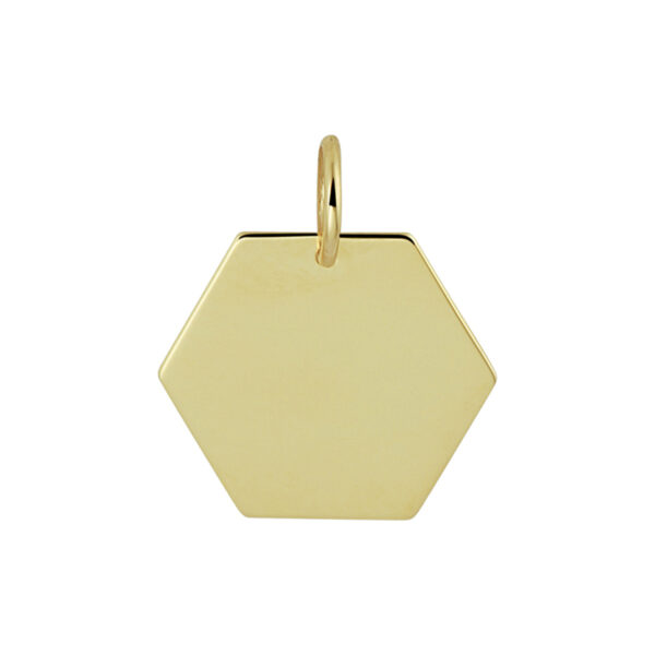 graveerhanger zeshoek 14K geelgoud