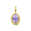 hanger amethist 14K geelgoud