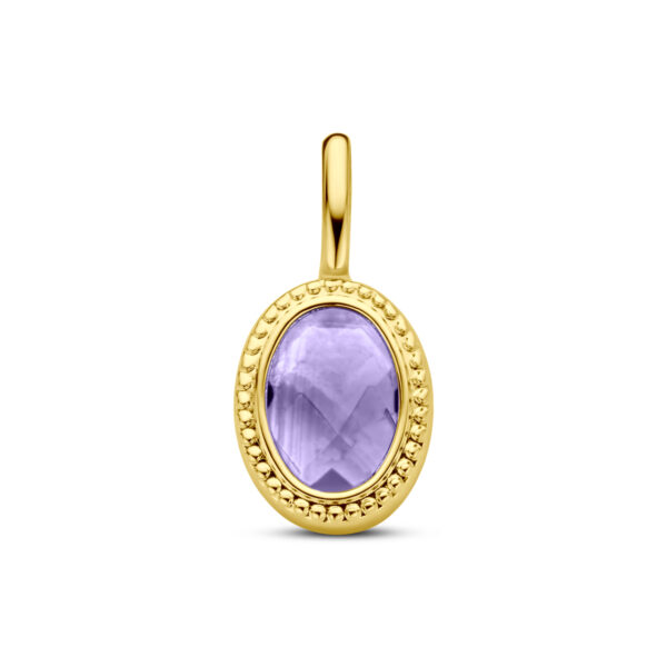 hanger amethist 14K geelgoud