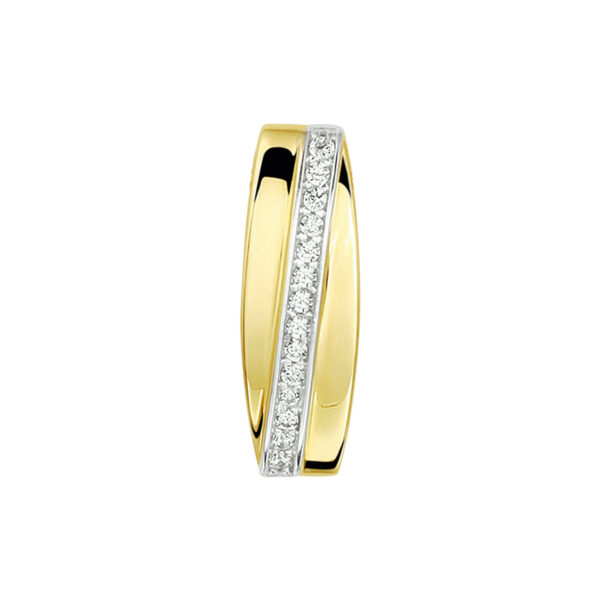 hanger zirkonia bicolor gestift 14K geelgoud