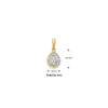 hanger zirkonia halo 16,5 mm 14K geelgoud - Afbeelding 4