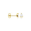oorknoppen zirkonia 5 mm 14K geelgoud - Afbeelding 3