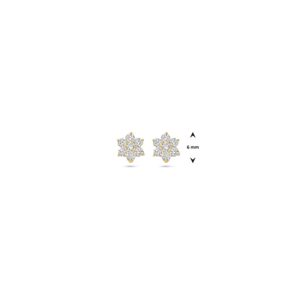 9k oorknoppen zirkonia 6 mm 9K geel kleurig - Afbeelding 4