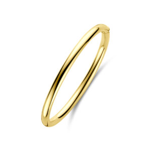 bangle scharnier ronde buis 5 x 60 14K geelgoud