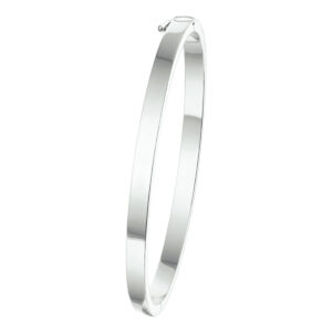 bangle scharnier vlakke buis 4 x 60 mm zilver wit