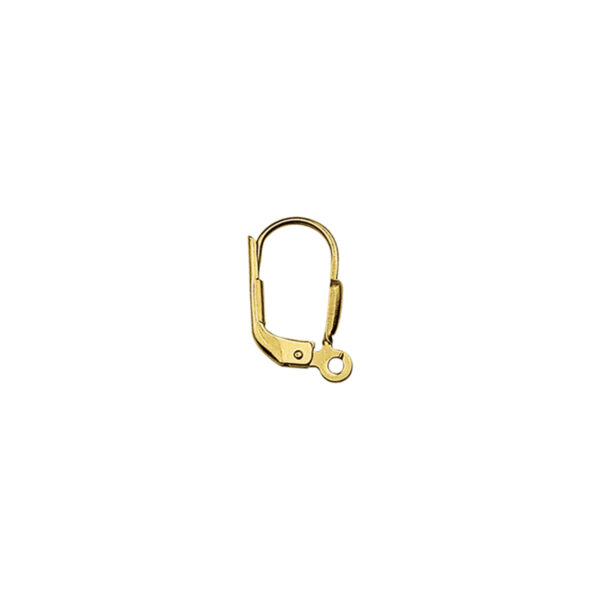 brisur haak 14K geelgoud