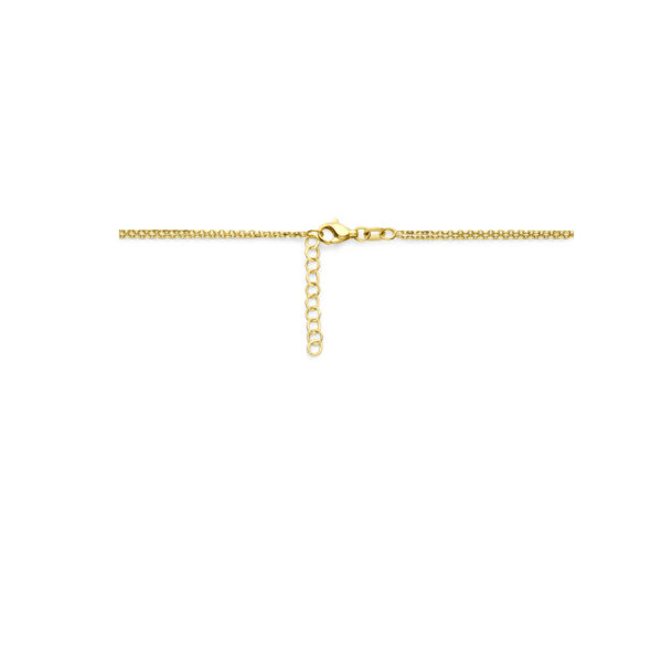 collier 41 + 3 cm 14K geelgoud - Afbeelding 3