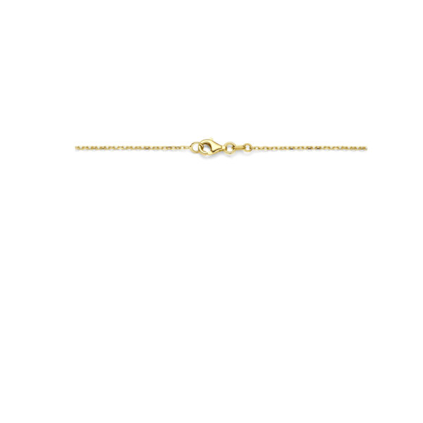 collier 43 cm 14K geelgoud - Afbeelding 3