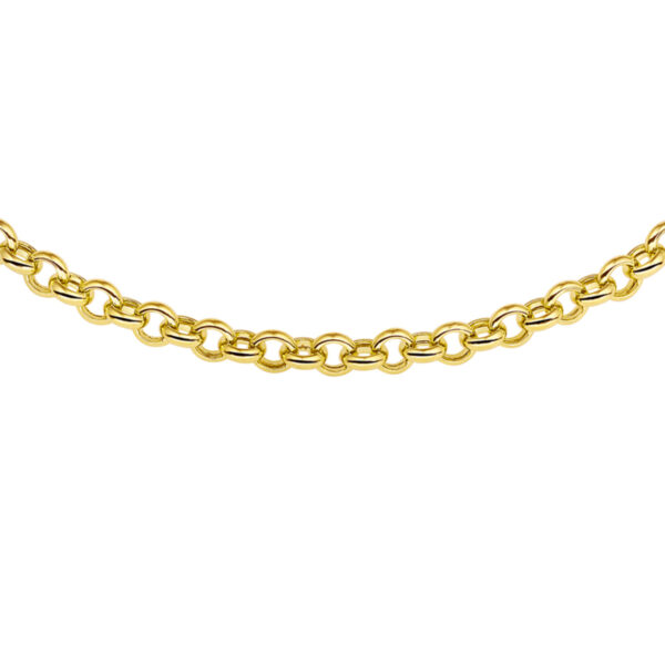 collier jasseron 5,5 mm 45 cm met groot springslot 14K geelgoud