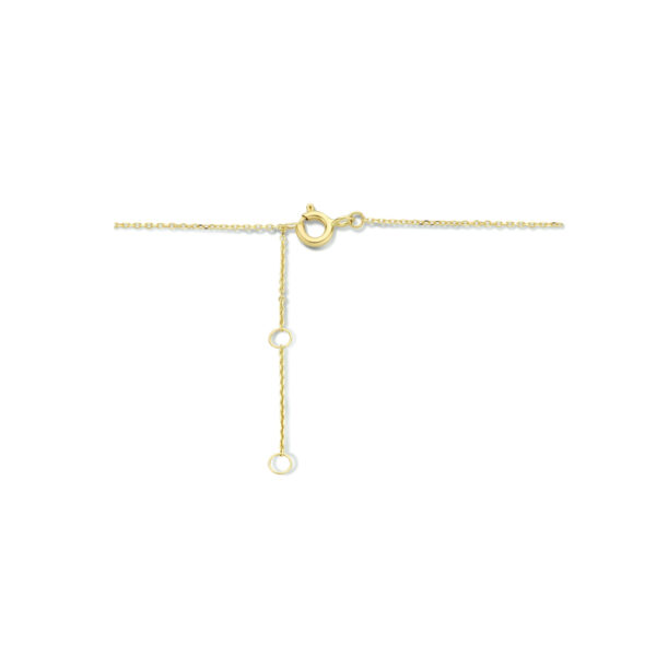 collier koraal 40 - 42 cm 14K geelgoud - Afbeelding 3