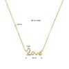 collier love 40 – 42 – 44 cm 14K geelgoud - Afbeelding 4