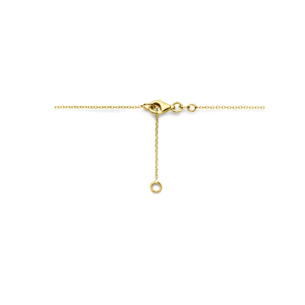 collier ovaaltjes 43 - 45 cm 14K geelgoud - Afbeelding 3