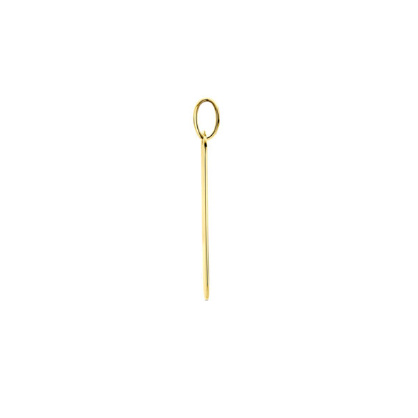 graveerhanger 29 mm 14K geelgoud - Afbeelding 3