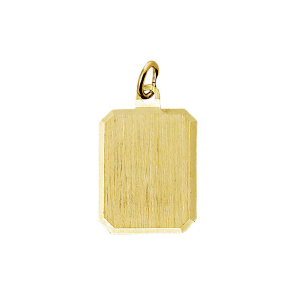 graveerhanger mat gediamanteerd 14K geelgoud