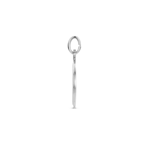 graveerhanger poli/ijsmat 14 mm zilver gerhodineerd - Afbeelding 3