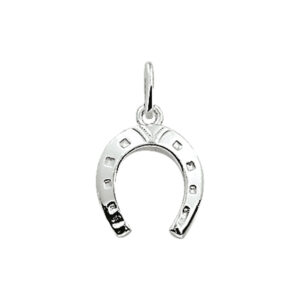 hanger hoefijzer zilver wit