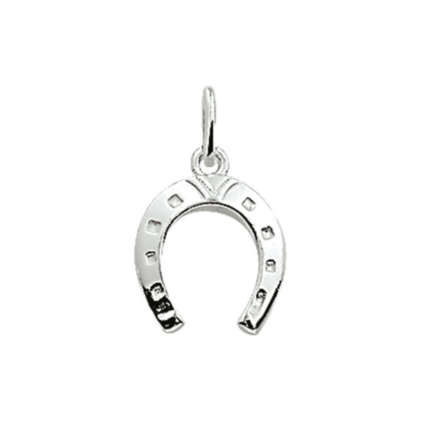 hanger hoefijzer zilver wit
