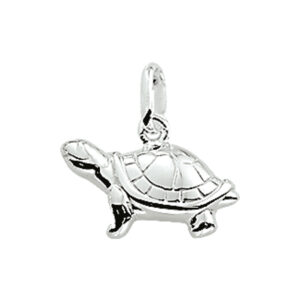 hanger schildpad zilver wit