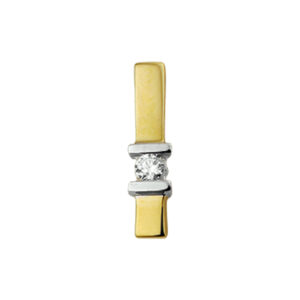 hanger zirkonia 14K bicolor goud geel/wit
