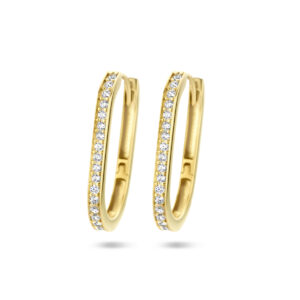 klapoorringen paperclip zirkonia 14K geelgoud