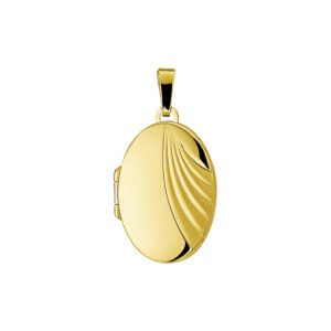 medaillon poli/mat 14K geelgoud