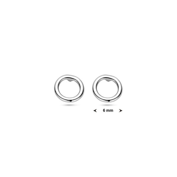 oorknoppen cirkel zilver gerhodineerd - Afbeelding 5