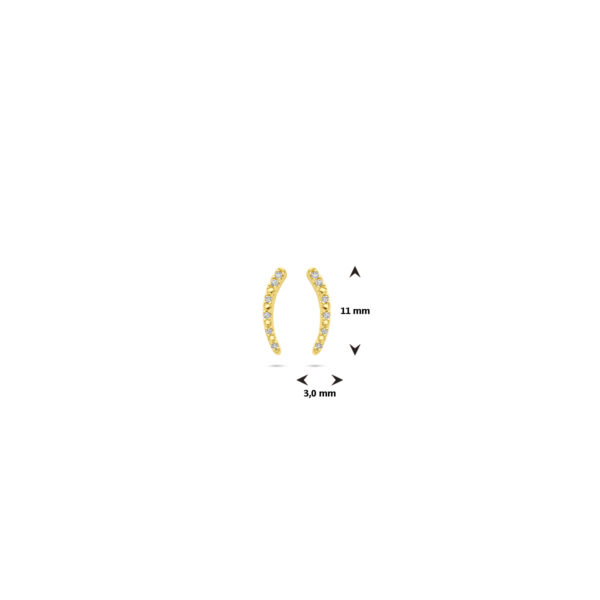 oorknoppen diamant 0.05ct (2x 0.025ct) h si 11 mm 14K geelgoud - Afbeelding 4