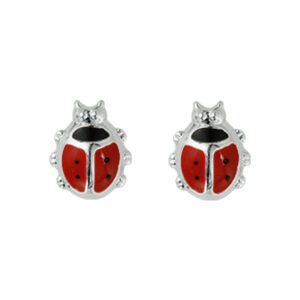 oorknoppen lieveheersbeestje zilver wit