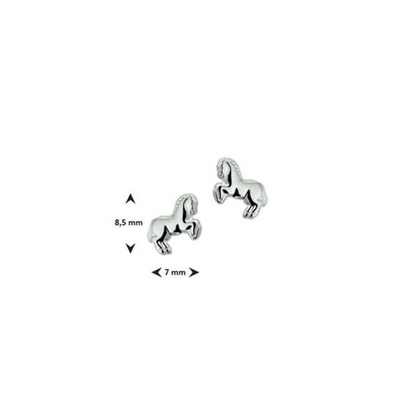 oorknoppen paard zilver wit - Afbeelding 3