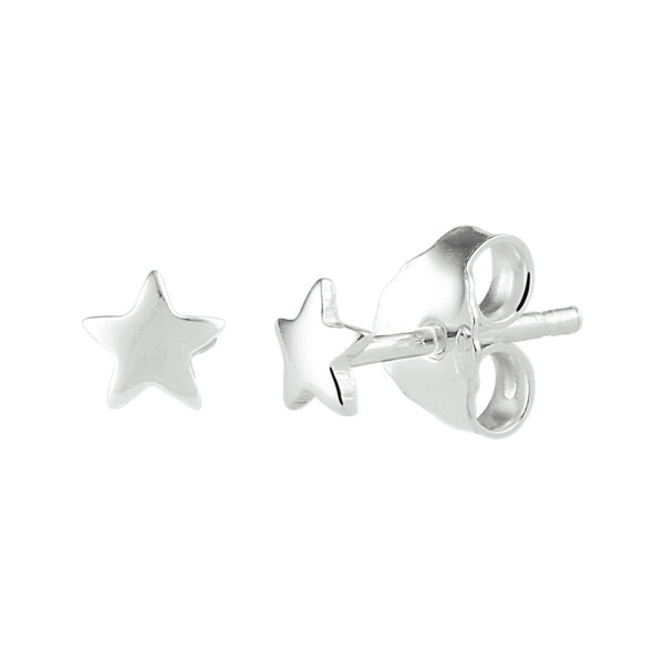 oorknoppen ster zilver wit