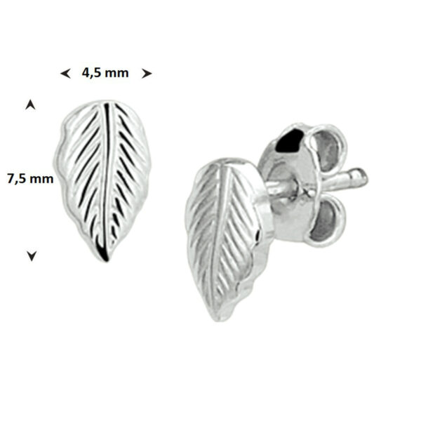 oorknoppen veer zilver gerhodineerd - Afbeelding 2